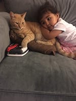 Child With Cat